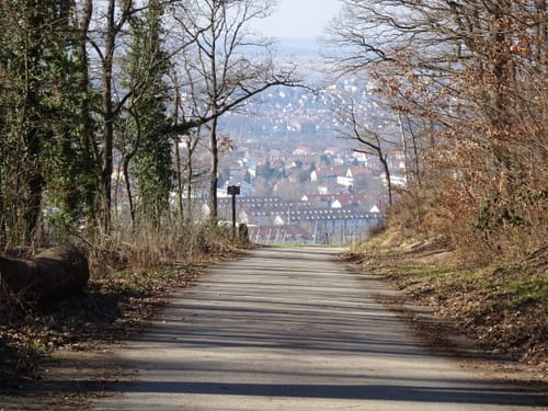 Rundwanderweg 5: Gaffenberg - Schweinsberg - Köpfertal