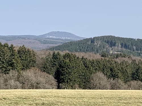EifelSchleife Stille im Buchenwald