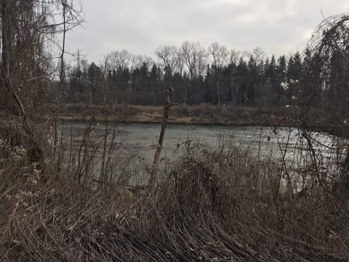 Isarrunde ab Fischerhäuser