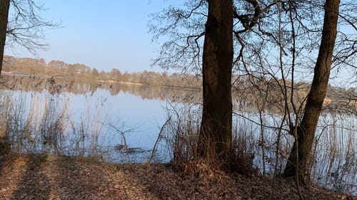 Bordesholmer See Rundweg