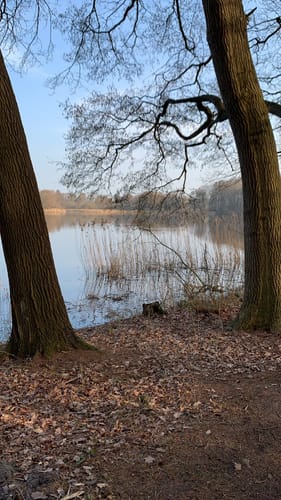 Bordesholmer See Rundweg