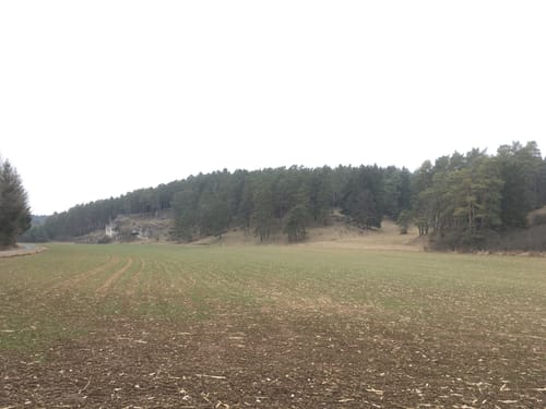 Voitmannsdorf - Kotzendorf - Königsfeld