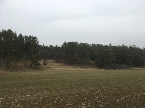 Voitmannsdorf - Kotzendorf - Königsfeld