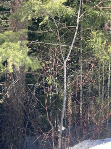 Best Hikes and Trails in Fort Okanogan State Park AllTrails