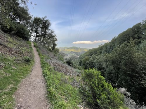 2023-best-10-forest-trails-in-orinda-alltrails