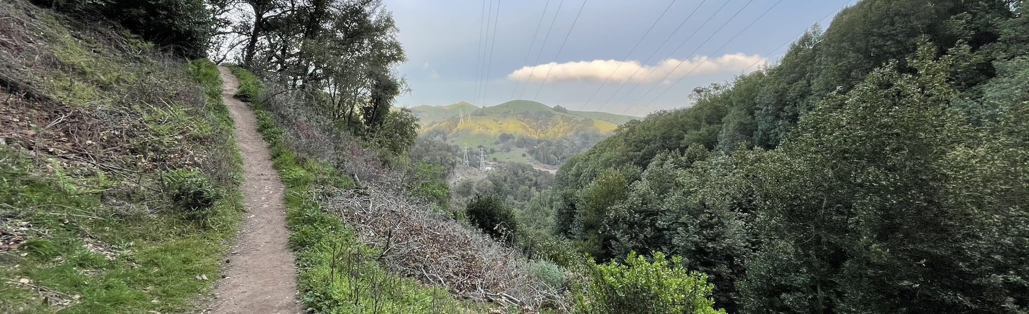 Lower and Upper Huckleberry Loop Trail via Lower Pinehurst Trail