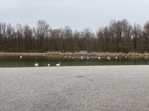 Um den Kuhsee