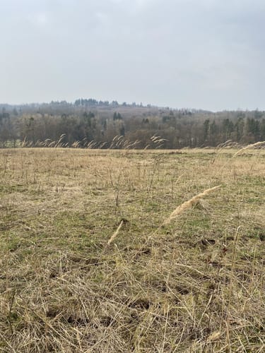 MTB-Rundkurs von Ebsdorf - Höingen