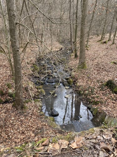 Homberger Weg