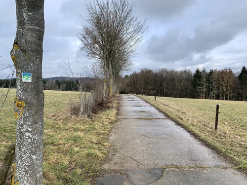 EifelSchleife Durch die Mutscheid