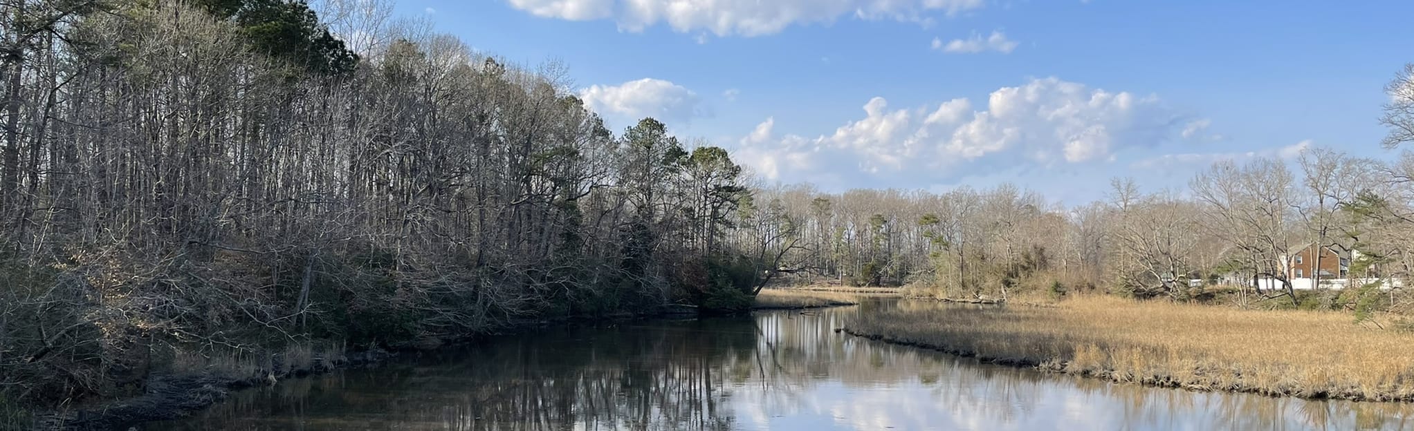 Suffolk Seaboard Coastline Trail, Virginia 322 Reviews, Map AllTrails