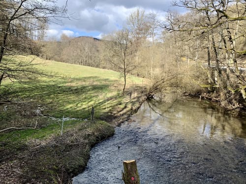 Nitztal und Riedener Waldsee ab Wanderparkplatz Büden