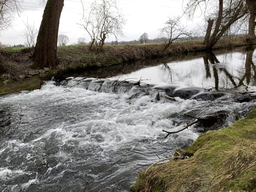 Rund um den Kronthaler Weiher