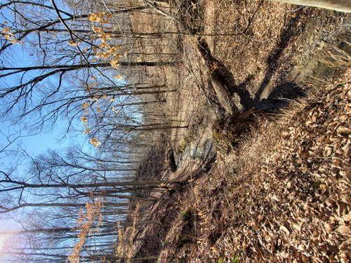 Best Hikes and Trails in Ravinia State Forest | AllTrails