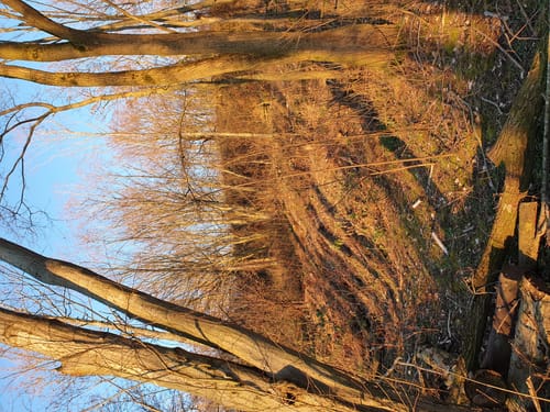 Uphill Hometrail Krefeld
