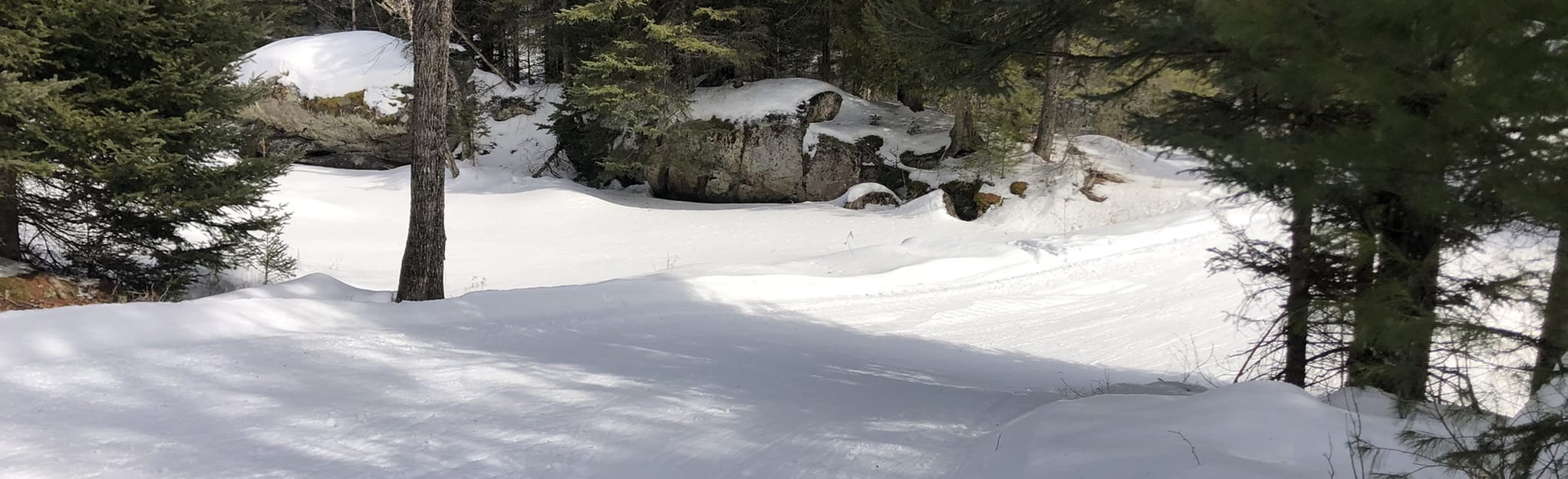 Kawartha Nordic Club Full Loop 13 Reviews, Map Ontario, Canada