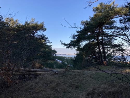 Lubmin: Runde am Strand