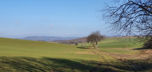 MTB: Sankt Wendeler Land 8