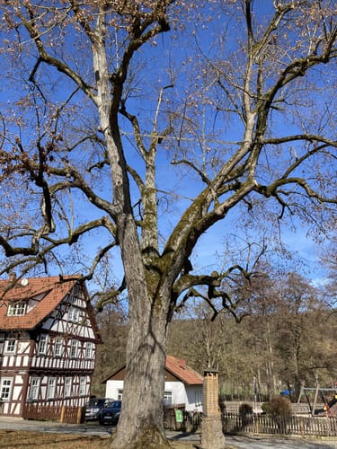 Von Henfstädt nach Oberstadt