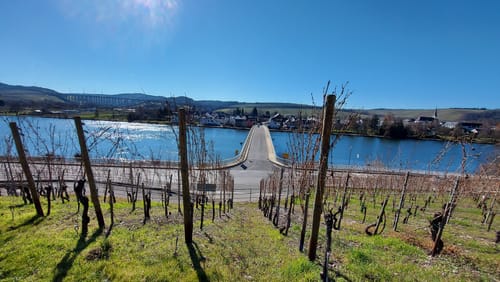 Von Longuich zur Weinbergschleife