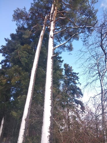 Rundweg Dettingen - Haidenhof