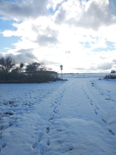 Rundweg Dettingen - Haidenhof