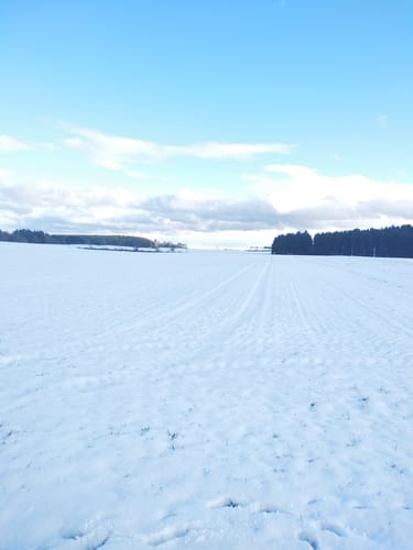 Rundweg Dettingen - Haidenhof