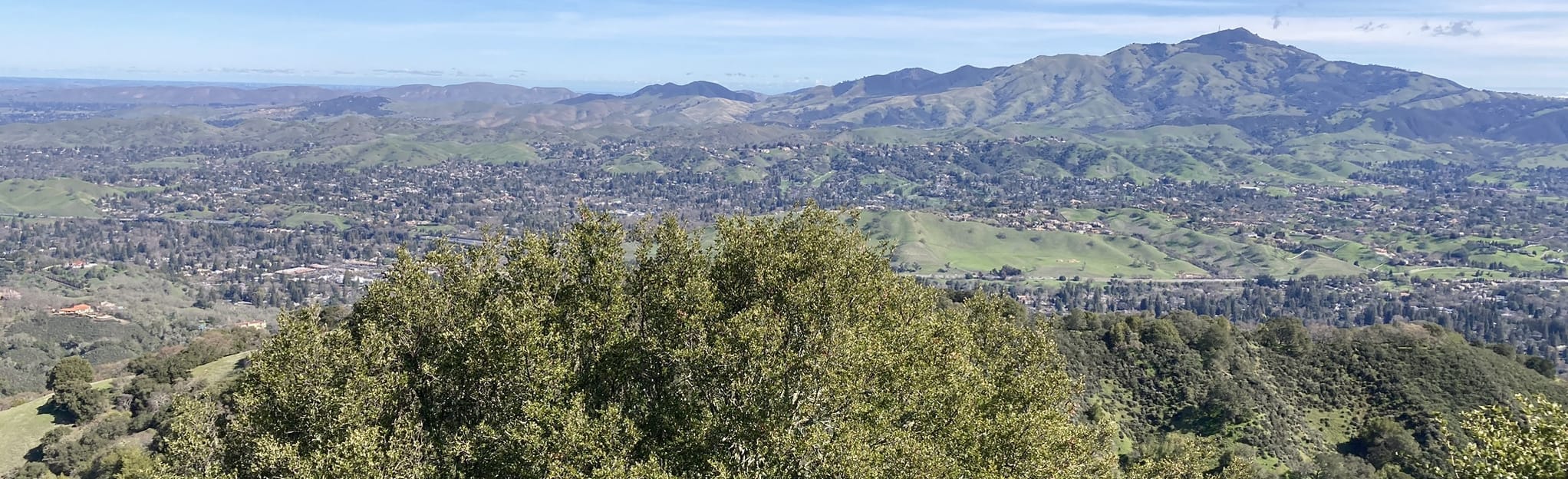 Ringtail Cat Trail to Calaveras Ridge: 145 Reviews, Map - California