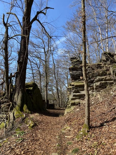 Rundwanderweg Grünberg