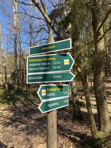 Rundwanderweg Grünberg