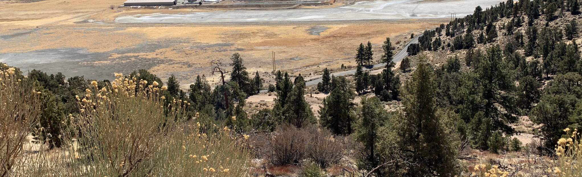 Gold Mountain Trail, California 341 Reviews, Map AllTrails