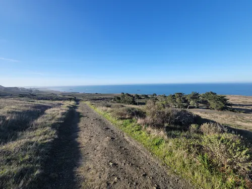 10 Best Hikes and Trails in Sonoma Coast State Park | AllTrails