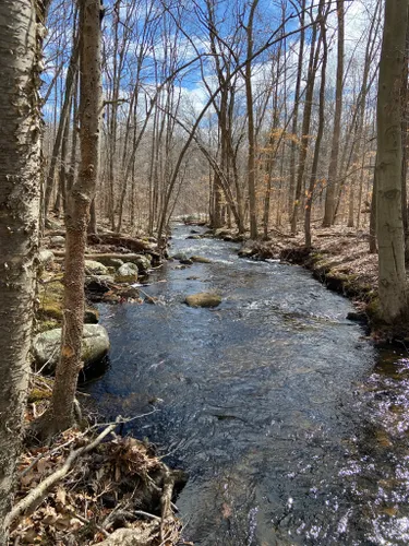 2023 Best Long Trails in Cockaponset State Forest | AllTrails