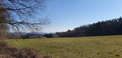 Oberthaler Grenzweg