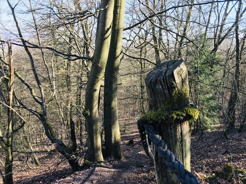 Kaltensteinpfad (Traumschleife)