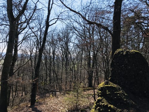 Kaltensteinpfad (Traumschleife)
