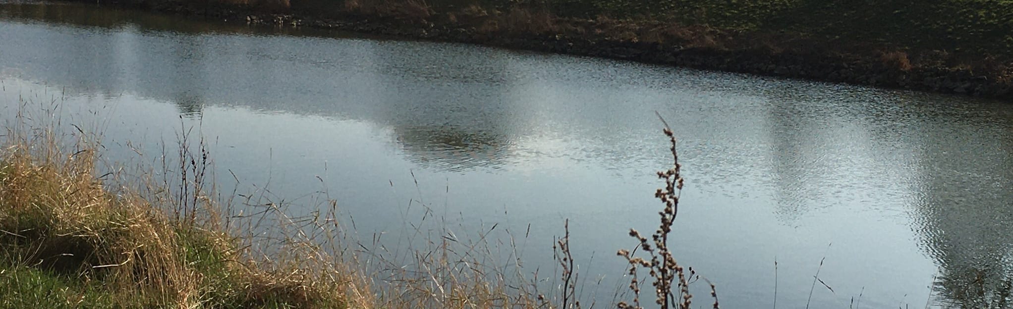 Witham Way Country Park and River Witham 60 Reviews, Map