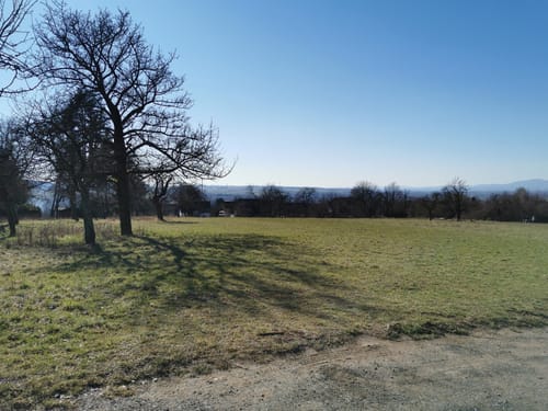 Durch den Wald zwischen Kilianstädten und Büdesheim