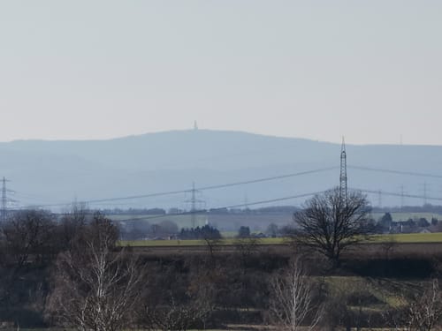 Durch den Wald zwischen Kilianstädten und Büdesheim