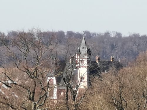 Durch den Wald zwischen Kilianstädten und Büdesheim