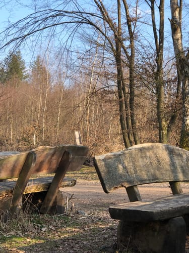 Roisdorf- Buschhoven