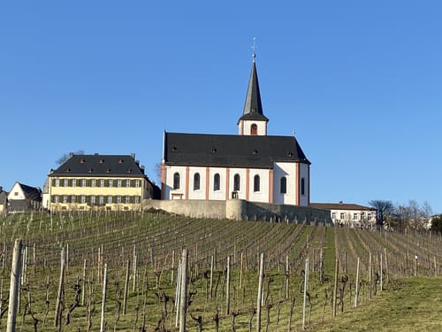 Hochheimer Weinbaumuseum - Hochheimer Mainwiesen - Kostheim