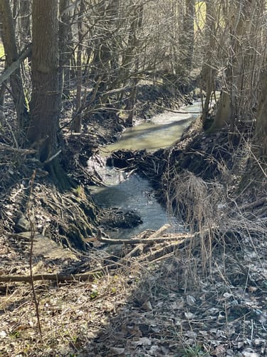 Rundwanderung um Wildbad Burgbernheim
