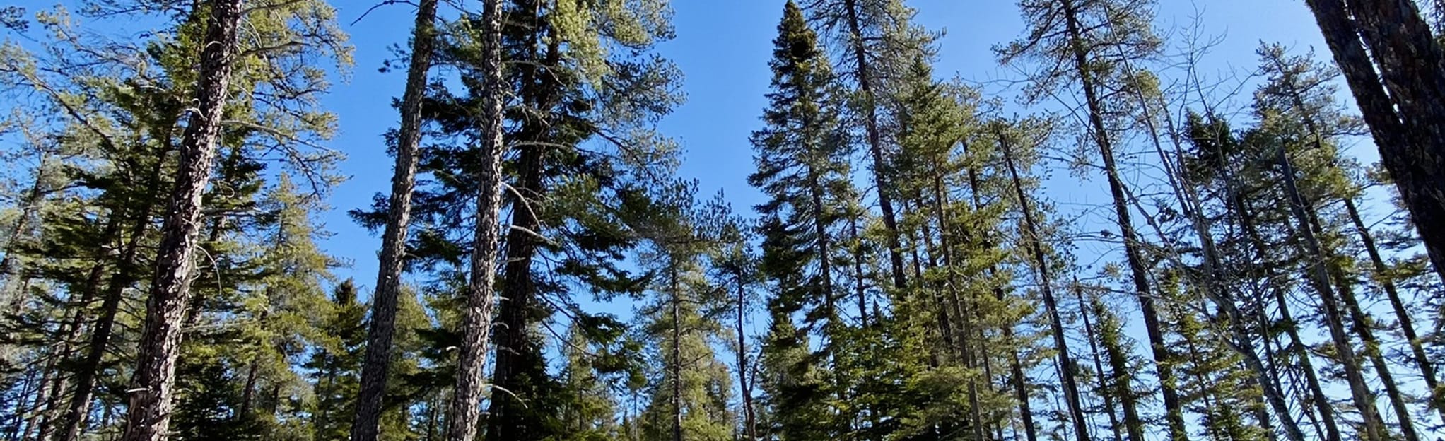 Dobson Trail Pine Glen Road to Osborne Corner Road, New Brunswick