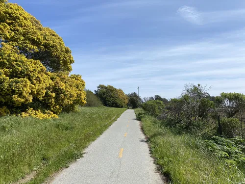 Santa cruz best sale bike trails