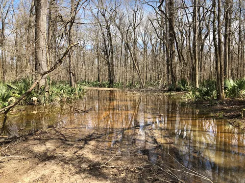 Best Hikes and Trails in Bayou Cocodrie National Wildlife Refuge