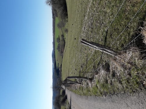 Naturpark Südeifel Wanderweg Nr. 14 - Jucken