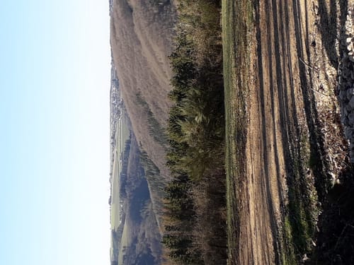 Naturpark Südeifel Wanderweg Nr. 14 - Jucken