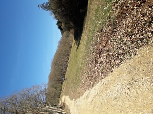 Naturpark Südeifel Wanderweg Nr. 14 - Jucken