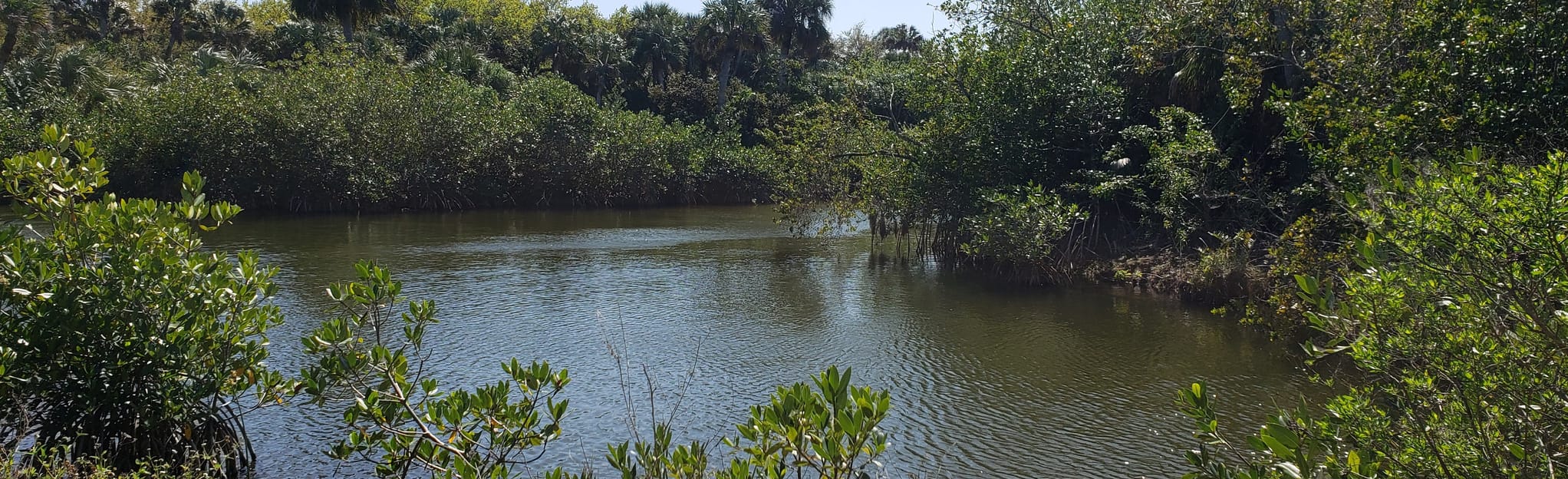 Maritime Hammock Sanctuary Loop 513 foto's Florida Wandelen
